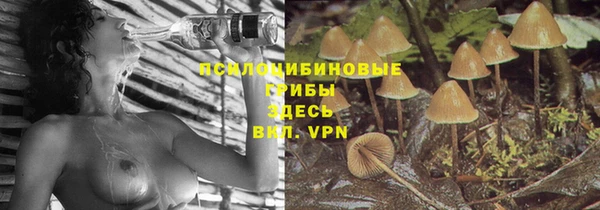 герыч Абинск